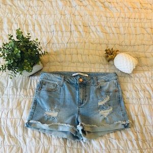 Celebrity Pink Shorts